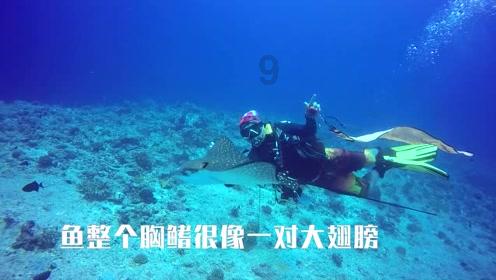88影视