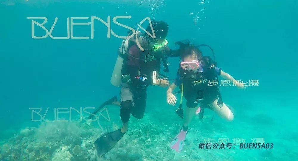 小猫钓鱼开船版最新版下载