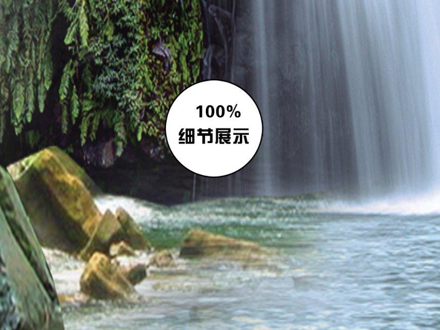 植物团叶鳞始蕨是长什么样子的？