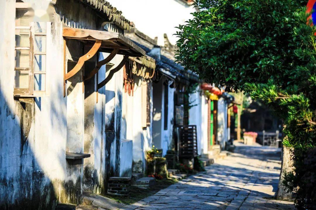 全民剧本大师内置菜单